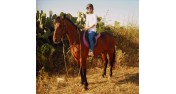 Golden Bay Horse Riding