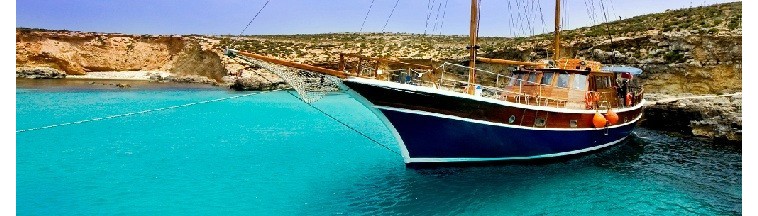Cruises